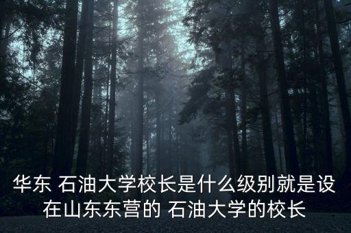 華東 石油大學(xué)校長(zhǎng)是什么級(jí)別就是設(shè)在山東東營(yíng)的 石油大學(xué)的校長(zhǎng)