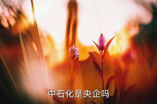 中石化是央企嗎