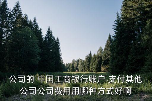 公司的 中國(guó)工商銀行賬戶 支付其他公司公司費(fèi)用用哪種方式好啊