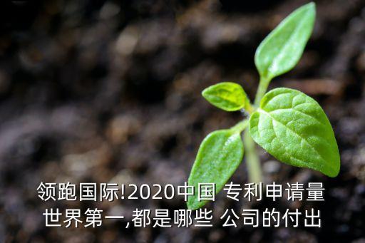 領(lǐng)跑?chē)?guó)際!2020中國(guó) 專(zhuān)利申請(qǐng)量世界第一,都是哪些 公司的付出