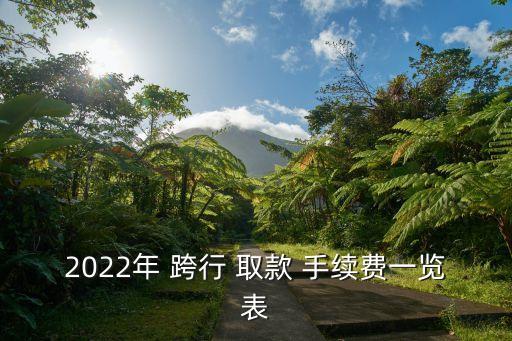 2022年 跨行 取款 手續(xù)費(fèi)一覽表