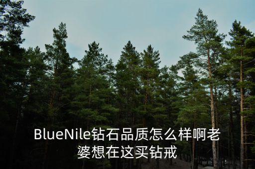 BlueNile鉆石品質怎么樣啊老婆想在這買鉆戒