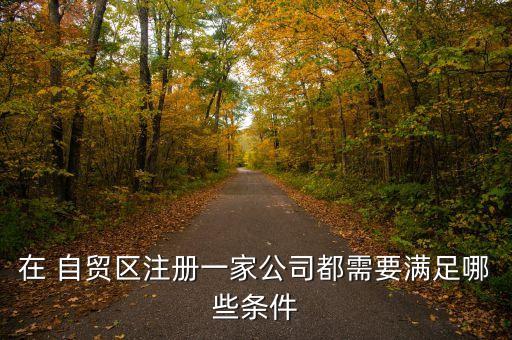 在 自貿(mào)區(qū)注冊一家公司都需要滿足哪些條件