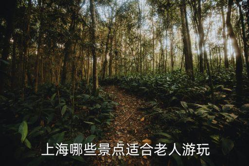  上海哪些景點(diǎn)適合老人游玩