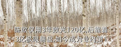  陳歐僅用3年敗光120億,后靠著3億極限翻盤,如今成為業(yè)內(nèi)第1