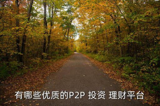 有哪些優(yōu)質(zhì)的P2P 投資 理財(cái)平臺