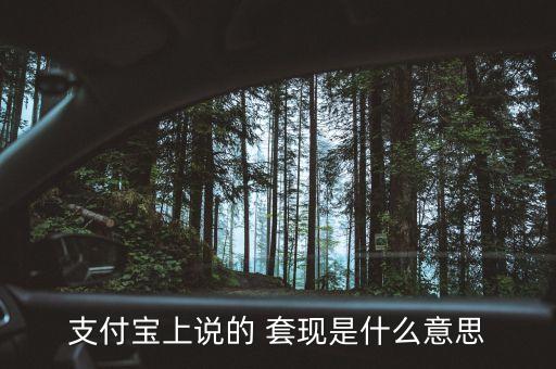 支付寶上說的 套現是什么意思