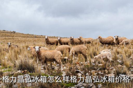 格力晶弘冰箱怎么樣格力晶弘冰箱價格