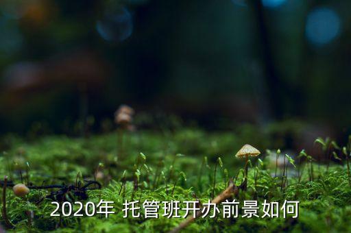 2020年 托管班開(kāi)辦前景如何