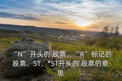 “N”開頭的 股票、“R”標(biāo)記的 股票、ST、*ST開頭的 股票的意思