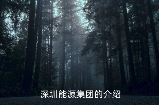  深圳能源集團的介紹