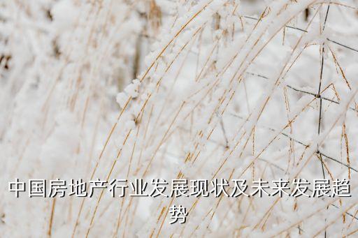 首創(chuàng)置業(yè)公司戰(zhàn)略規(guī)劃