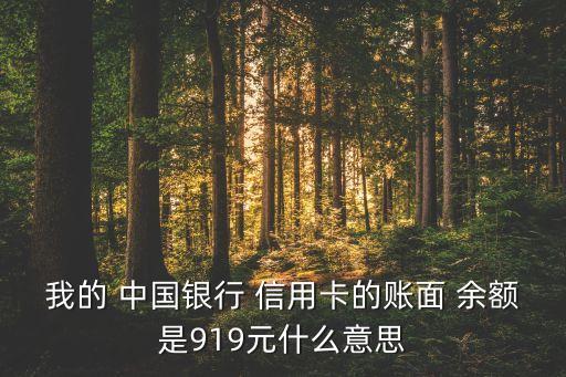 我的 中國銀行 信用卡的賬面 余額是919元什么意思