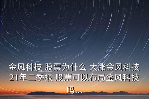 金風(fēng)科技 股票為什么 大漲金風(fēng)科技21年二季報 股票可以布局金風(fēng)科技嗎...