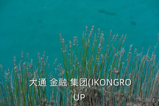  大通 金融 集團(tuán)(IKONGROUP