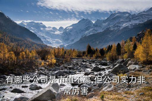 2014中國(guó)最具潛力非上市企業(yè)榜單