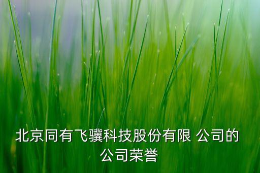 北京同有飛驥科技股份有限 公司的 公司榮譽(yù)