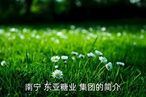 東亞控股集團(tuán)有限公司,云南省建設(shè)投資控股集團(tuán)有限公司