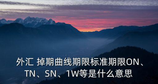  外匯 掉期曲線期限標(biāo)準(zhǔn)期限ON、TN、SN、1W等是什么意思