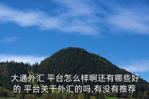  大通外匯 平臺(tái)怎么樣啊還有哪些好的 平臺(tái)關(guān)于外匯的嗎,有沒(méi)有推薦