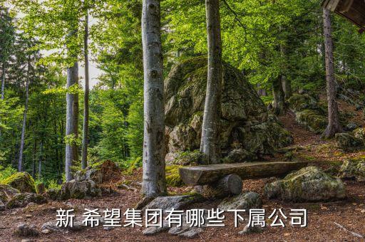 成都新希望實業(yè)投資有限公司,成都經開新希望啟程置業(yè)有限公司