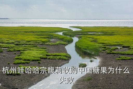 杭州哇哈哈宗馥莉收購中國(guó)糖果為什么失敗