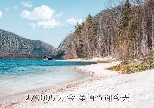 270005 基金 凈值查詢今天