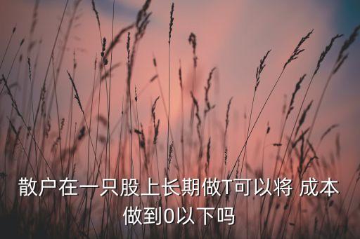 散戶在一只股上長(zhǎng)期做T可以將 成本做到0以下嗎