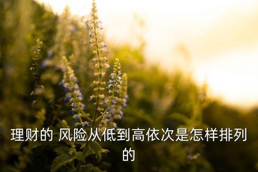 投資風(fēng)險(xiǎn)排序,以下投資風(fēng)險(xiǎn)排序正確的是