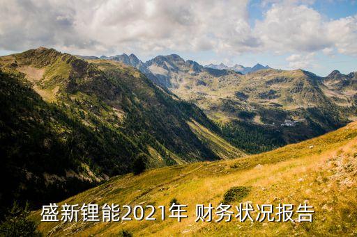 盛新鋰能2021年 財(cái)務(wù)狀況報(bào)告