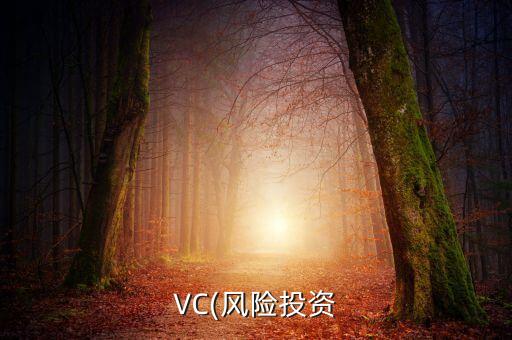 VC(風(fēng)險(xiǎn)投資