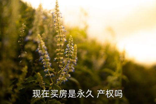 現(xiàn)在買(mǎi)房是永久 產(chǎn)權(quán)嗎