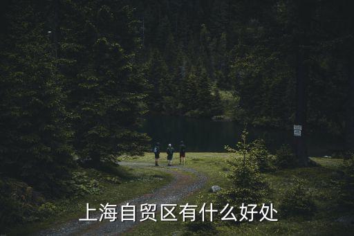  上海自貿(mào)區(qū)有什么好處