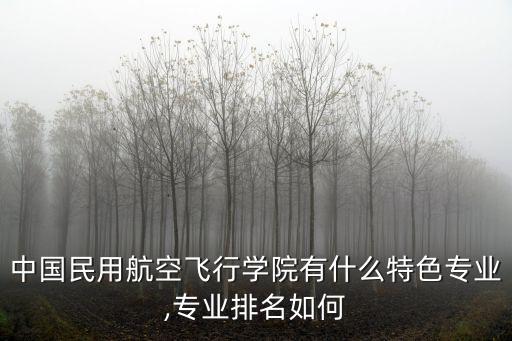 中國民營航校排行