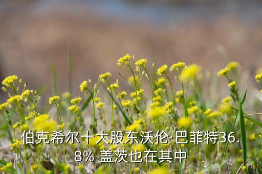 伯克希爾十大股東沃倫·巴菲特36.8% 蓋茨也在其中