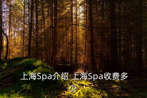  上海Spa介紹 上海Spa收費(fèi)多少