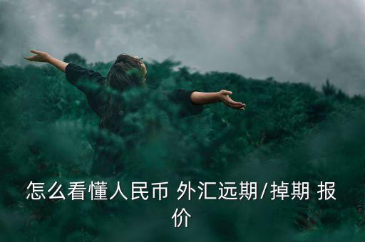 怎么看懂人民幣 外匯遠(yuǎn)期/掉期 報價