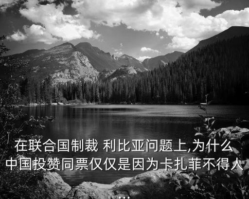 在聯(lián)合國制裁 利比亞問題上,為什么中國投贊同票僅僅是因為卡扎菲不得人...