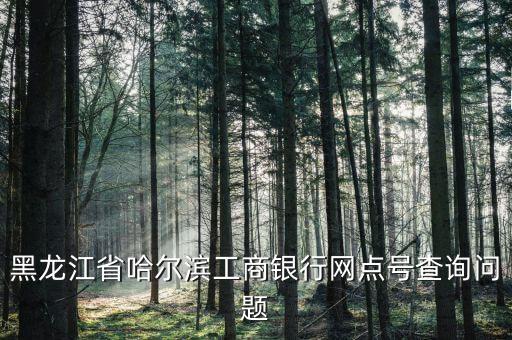 黑龍江省哈爾濱工商銀行網(wǎng)點(diǎn)號(hào)查詢問題