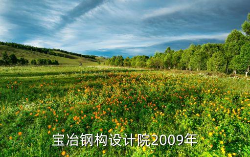 上海寶冶鋼構(gòu)設計院2009年