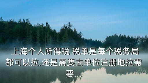  上海個(gè)人所得稅 稅單是每個(gè)稅務(wù)局都可以拉,還是需要去單位注冊(cè)地拉需要...