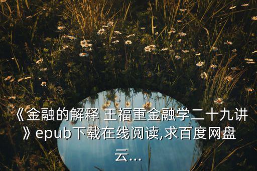 《金融的解釋 王福重金融學(xué)二十九講》epub下載在線閱讀,求百度網(wǎng)盤云...