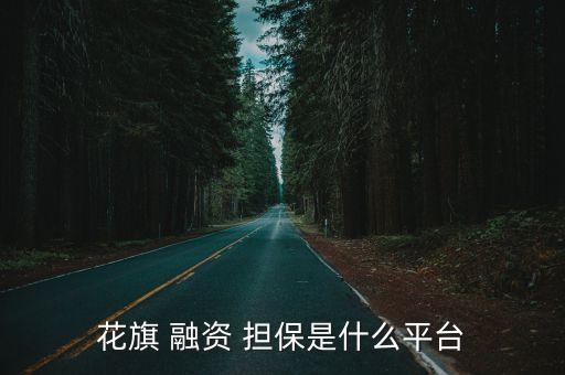 花旗 融資 擔(dān)保是什么平臺