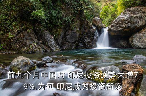 前九個(gè)月中國(guó)對(duì) 印尼投資逆勢(shì)大增79%,為何 印尼成為投資新寵