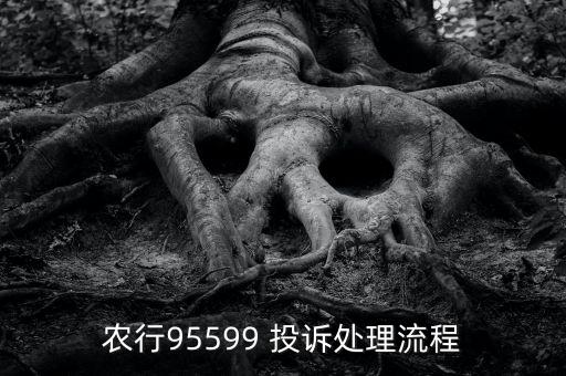 農(nóng)行95599 投訴處理流程