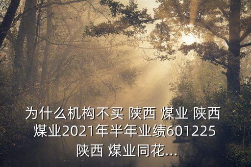 為什么機構不買 陜西 煤業(yè) 陜西 煤業(yè)2021年半年業(yè)績601225 陜西 煤業(yè)同花...