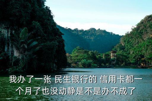 我辦了一張 民生銀行的 信用卡都一個月了也沒動靜是不是辦不成了