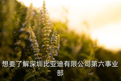 陜西海外投資發(fā)展股份公司