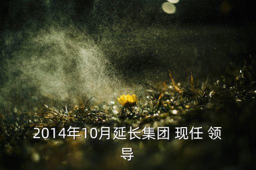 2014年10月延長(zhǎng)集團(tuán) 現(xiàn)任 領(lǐng)導(dǎo)