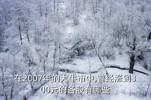 在2007年的大牛市中,曾經(jīng)漲到300元的各股有哪些